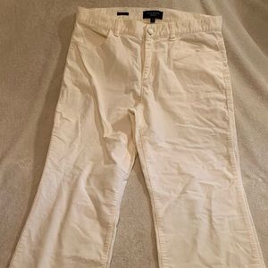 TALBOTS ivory, cream straight leg velvet pant sz10